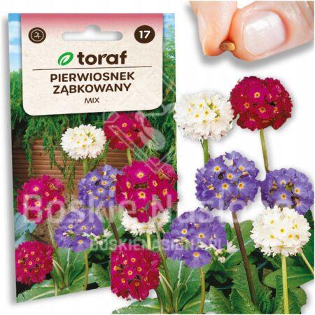 0f65a574916a96c46cd3f500c3ac640d