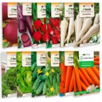 108df4cb34fe17cf37d409d30e717256