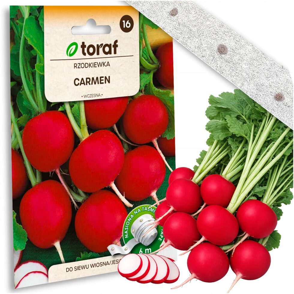 addab849d63bce6c3d7be034c39629c3