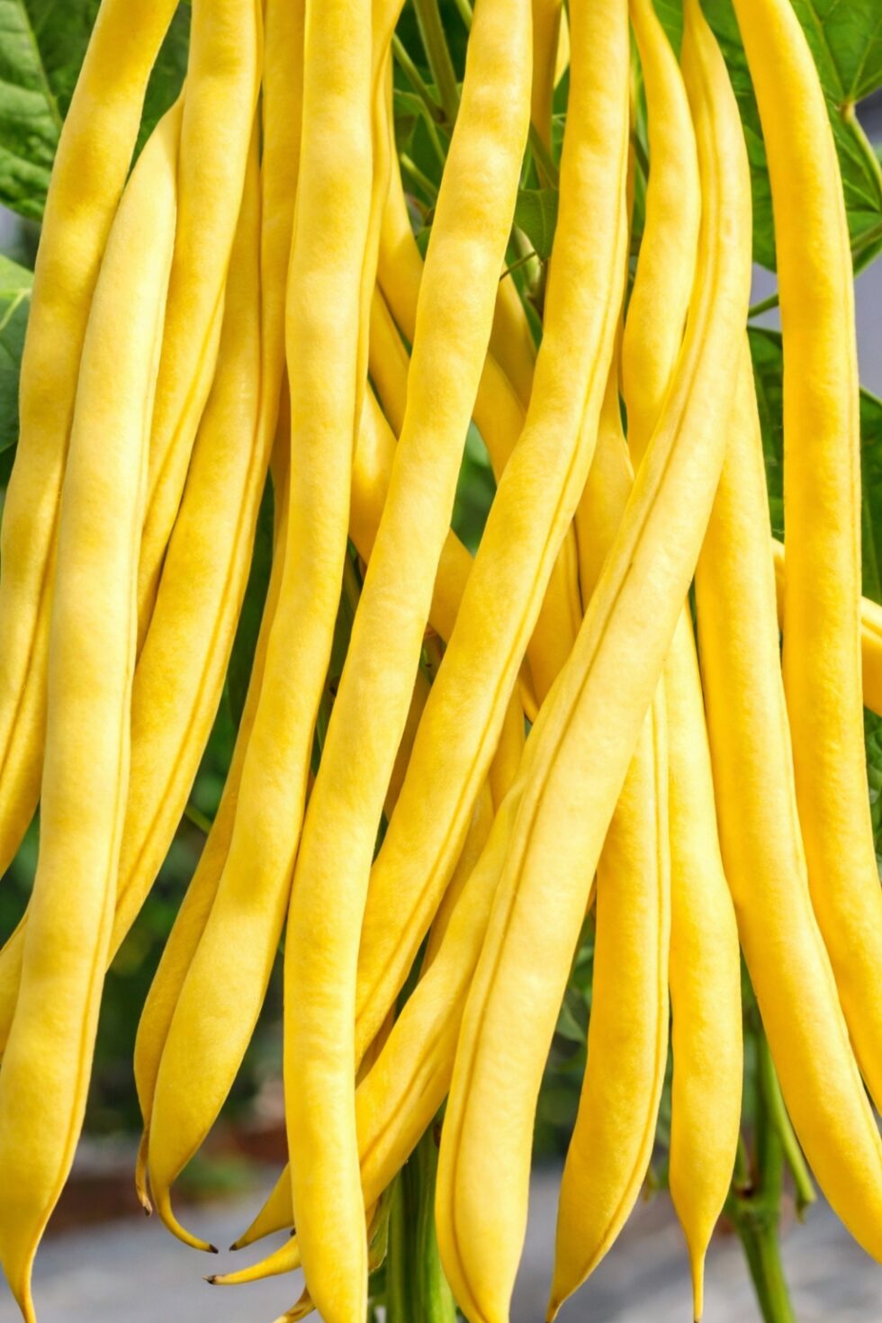 0f711cbf3428466d4adcab6d5f050421