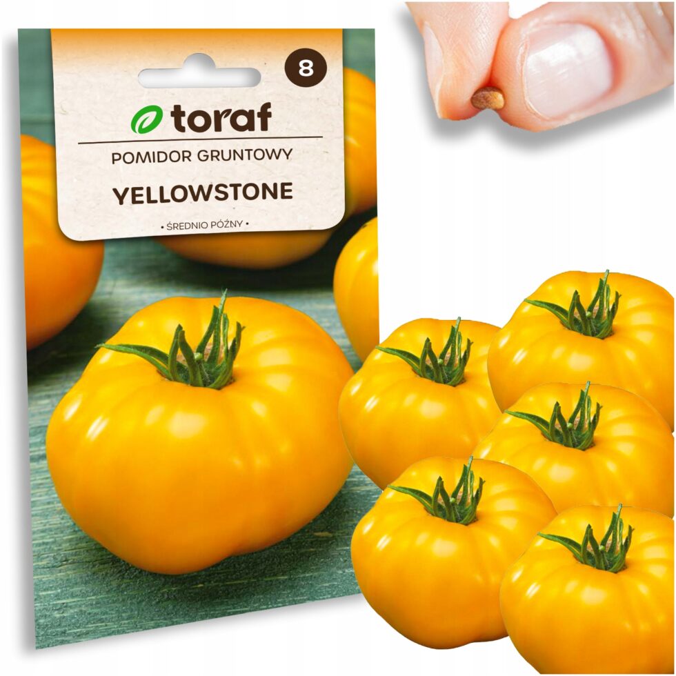 e4ac734d411328eff86303fd0542985a