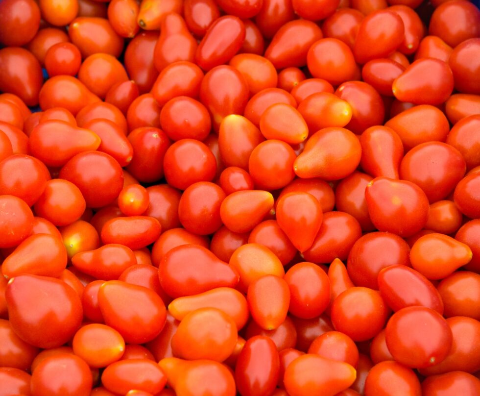 9fa5b95a4e614089fdb9e4c005bd3baa