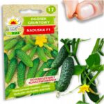 bc1f0789ee2ab5248119a6b2da8bfc50