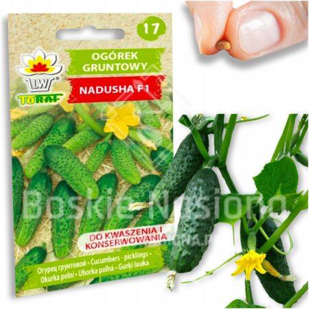 bc1f0789ee2ab5248119a6b2da8bfc50