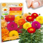 90d4d15e9f7a6b6f25655403318abc06