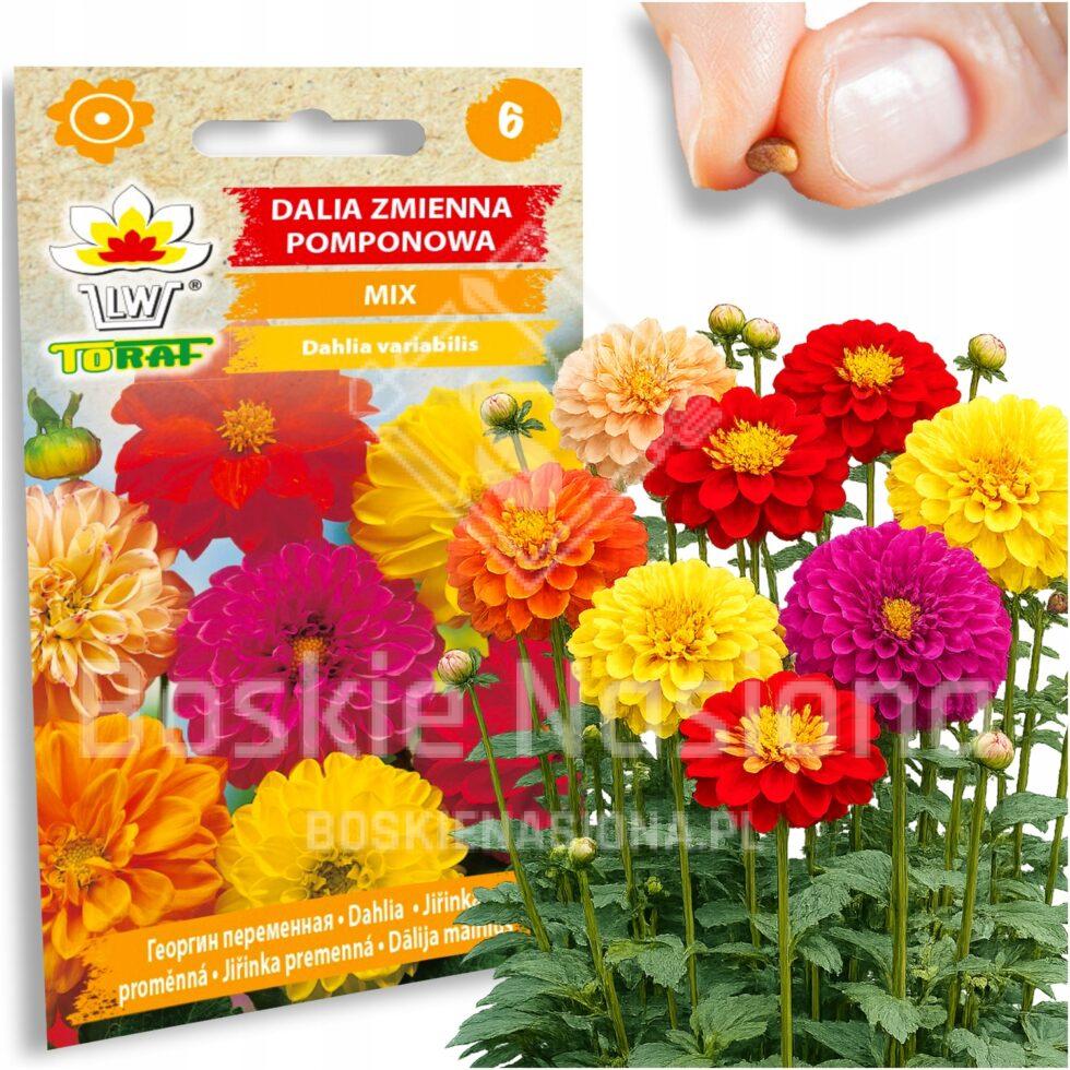 90d4d15e9f7a6b6f25655403318abc06