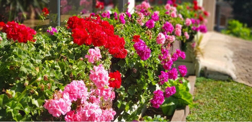 ffa0041d66864cf6aaf12e6f1cd4b9db