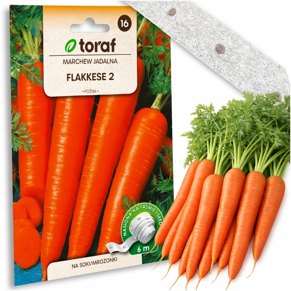 5a96afcc79f16cf2e25dedc7df13f41e