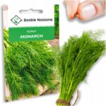 bc137b56e16ba629160346580d918b64