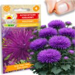 a628e536fdd36f48d1a7bde87476757b