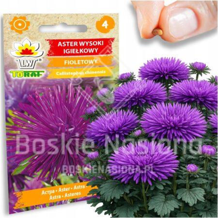 a628e536fdd36f48d1a7bde87476757b