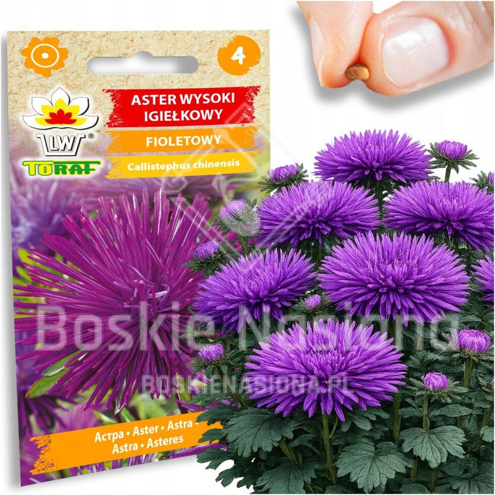 a628e536fdd36f48d1a7bde87476757b