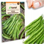 b6de6b8a5c1fc6147c3007d093475649