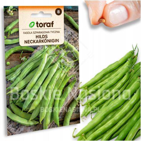 b6de6b8a5c1fc6147c3007d093475649