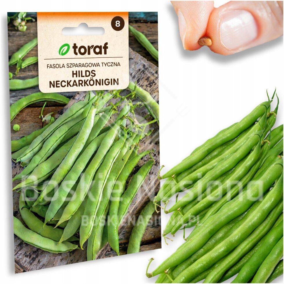 b6de6b8a5c1fc6147c3007d093475649