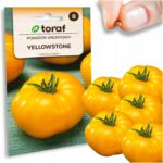 e4ac734d411328eff86303fd0542985a