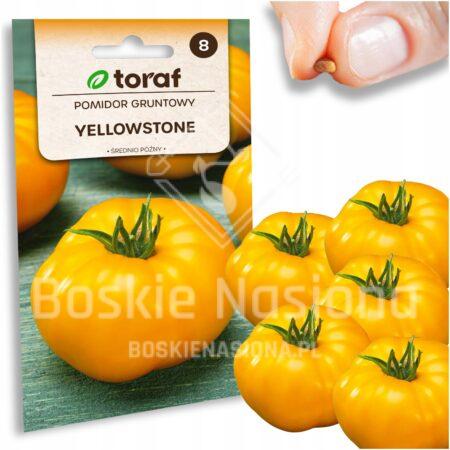 e4ac734d411328eff86303fd0542985a