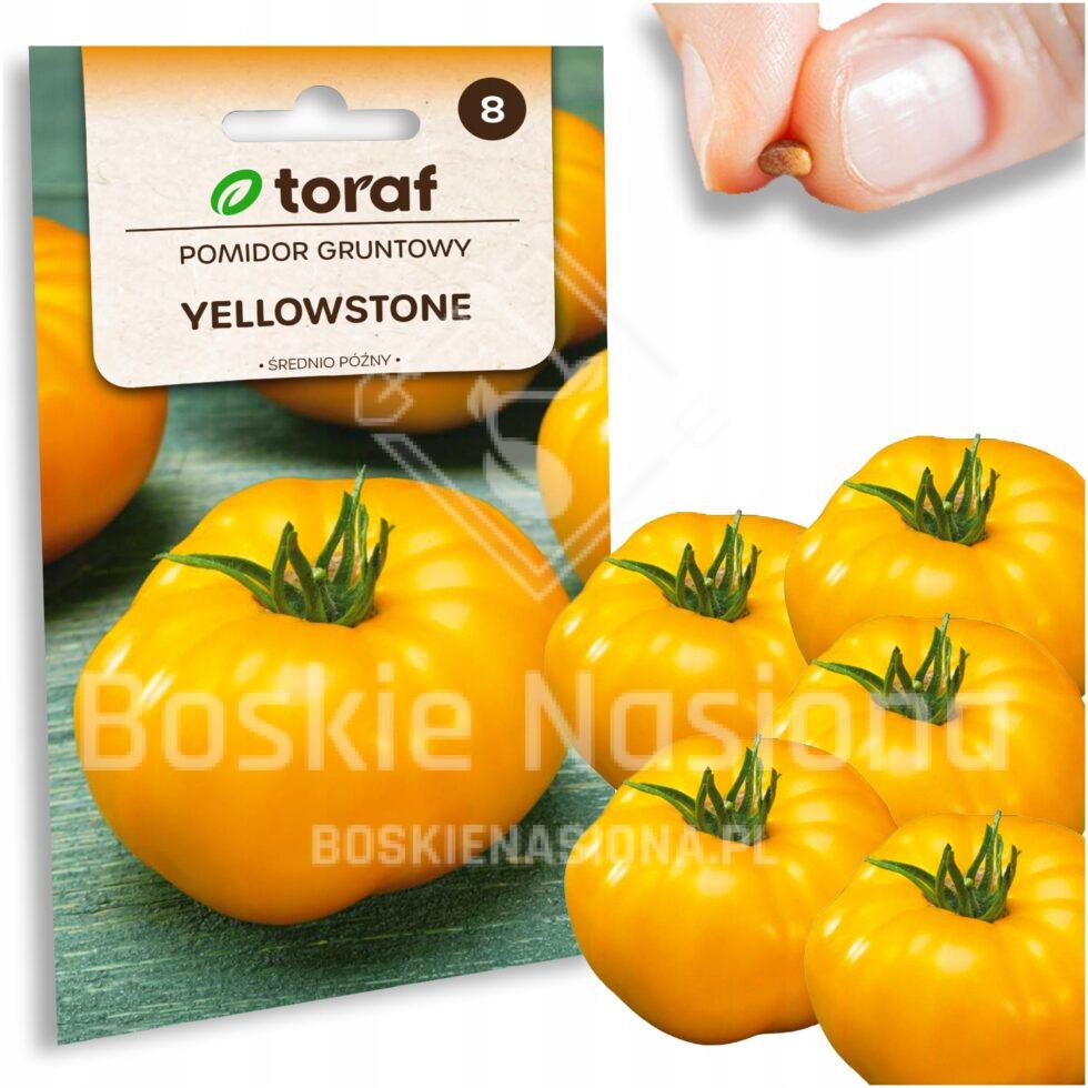 e4ac734d411328eff86303fd0542985a