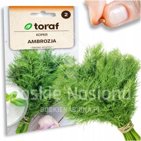 95f69609691a03b6c92da70fc9d5eadc