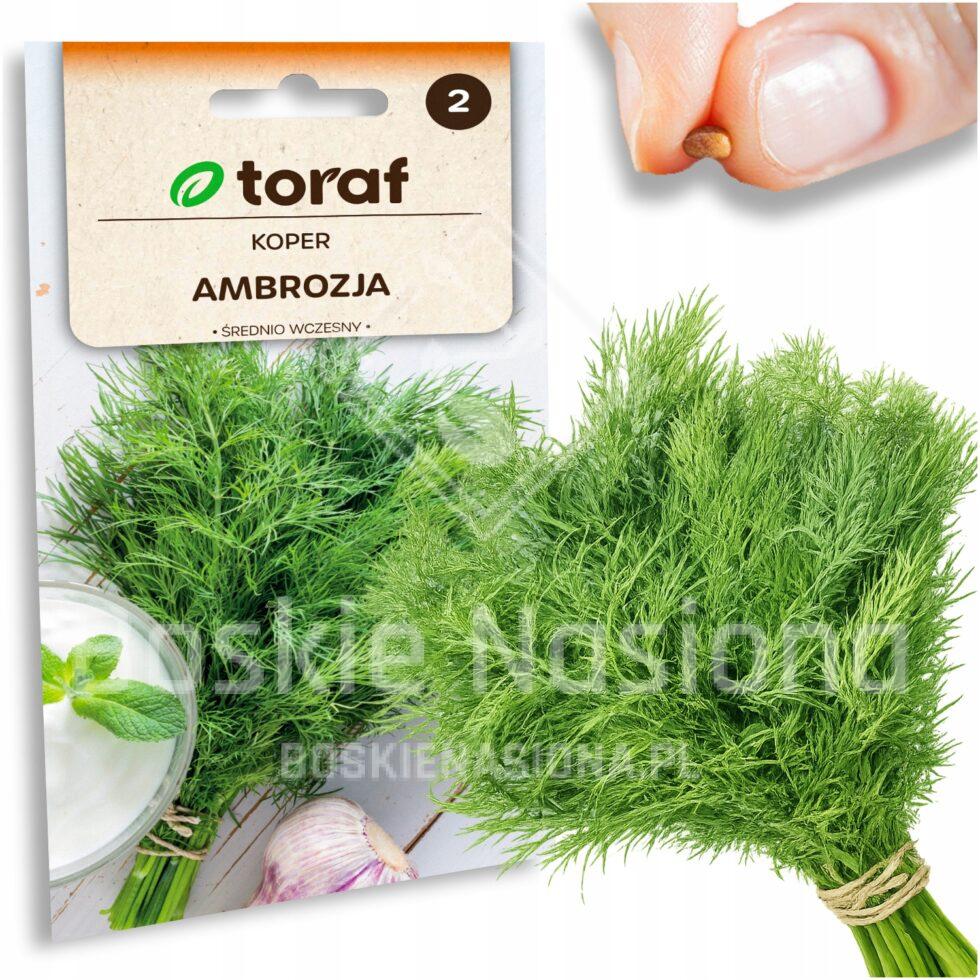 95f69609691a03b6c92da70fc9d5eadc