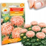 bcaefff552874c4fe430a4e5acb53f0f