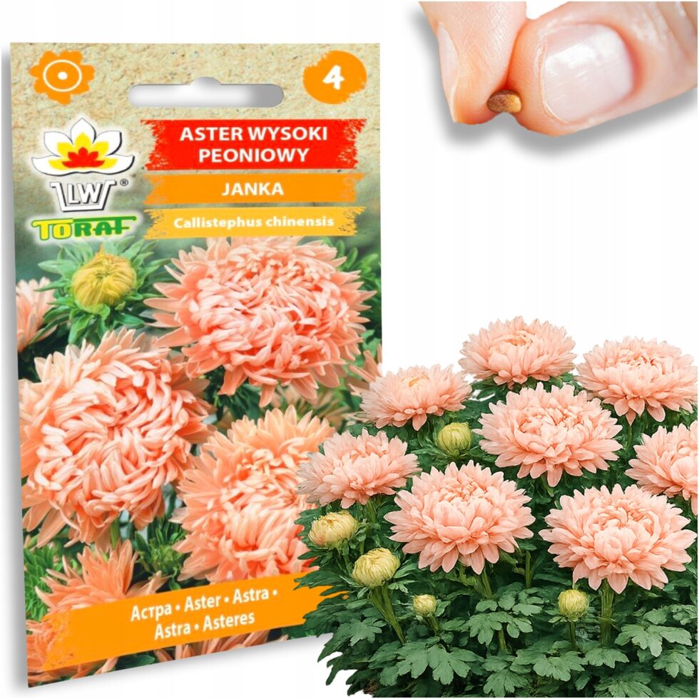 bcaefff552874c4fe430a4e5acb53f0f