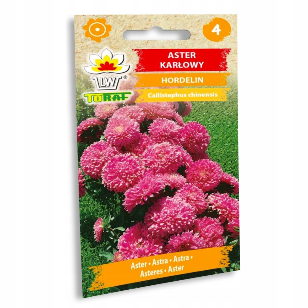 c8b0faf2f50b17e86c1110a413572567