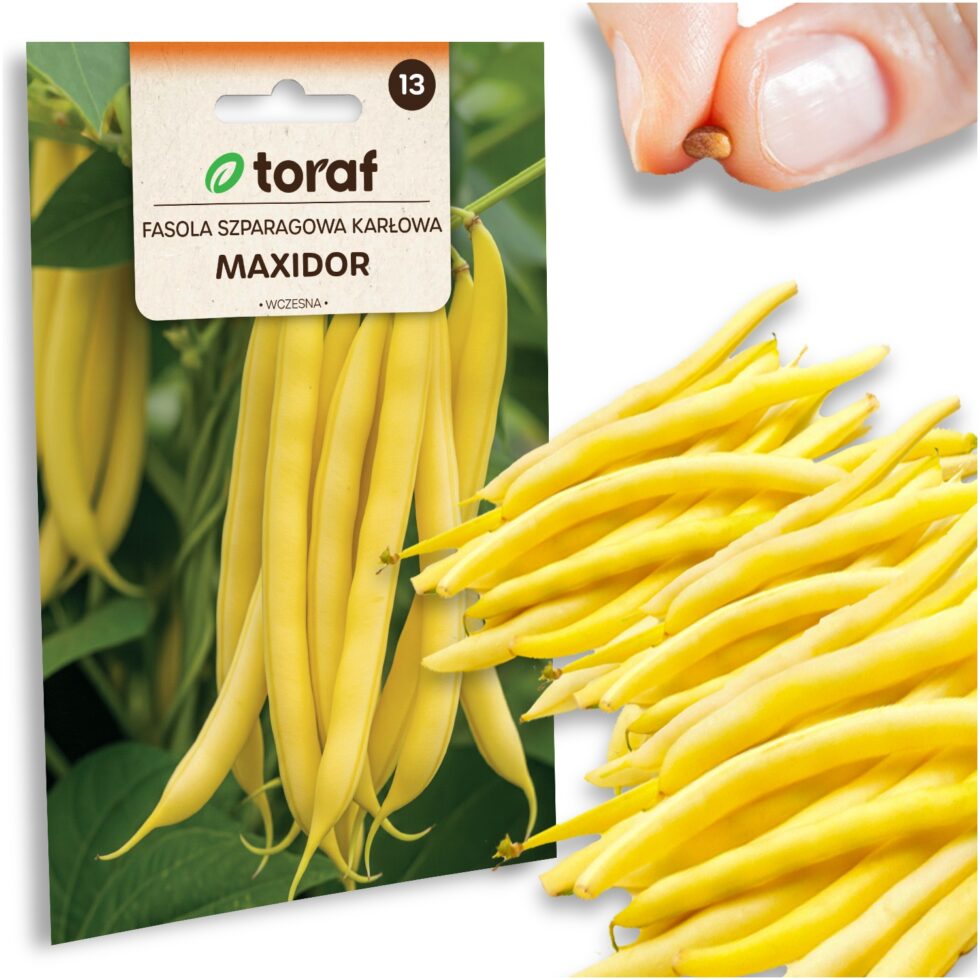 6175ddf5d88faa08ac50952223e45c0e