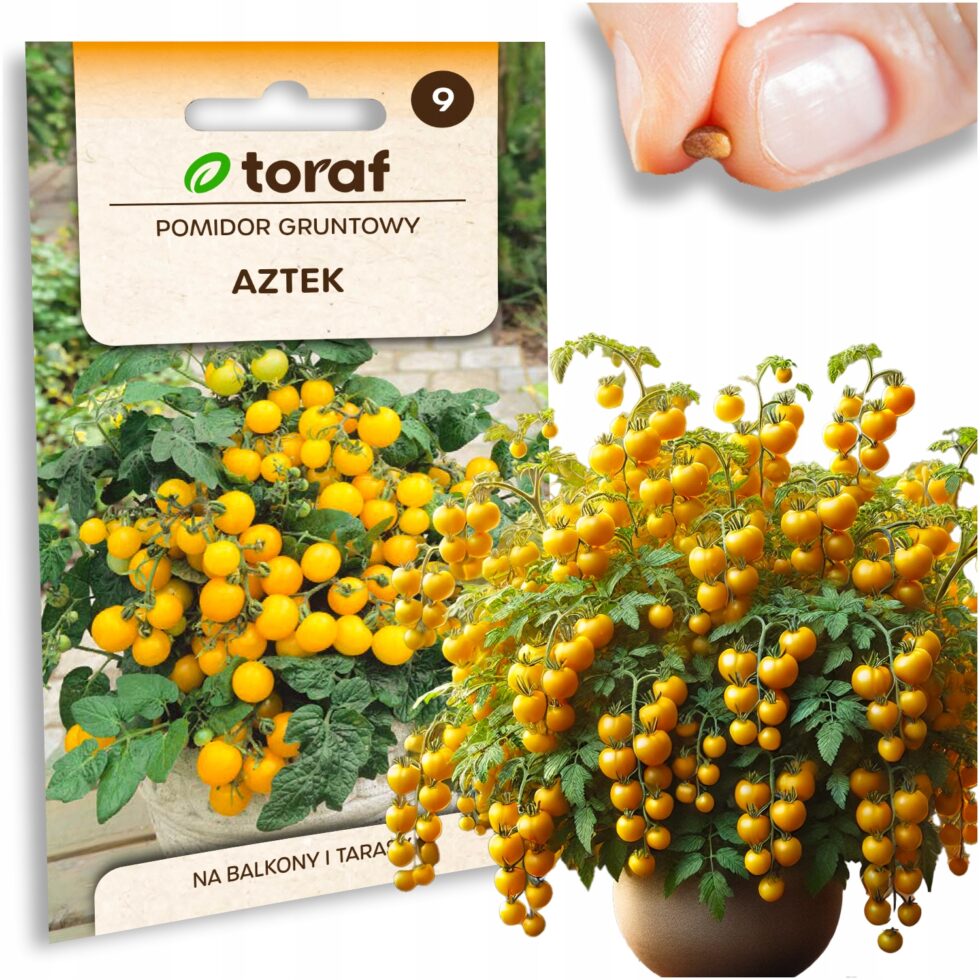 ee95029686bb1e0885a33c4fd1ad7591