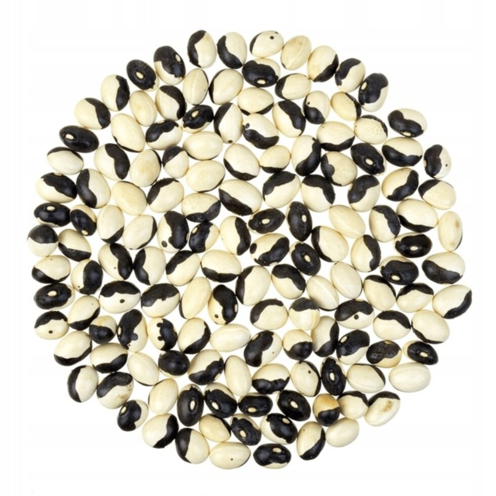 960187b2b8cba4bb719258c86104c555