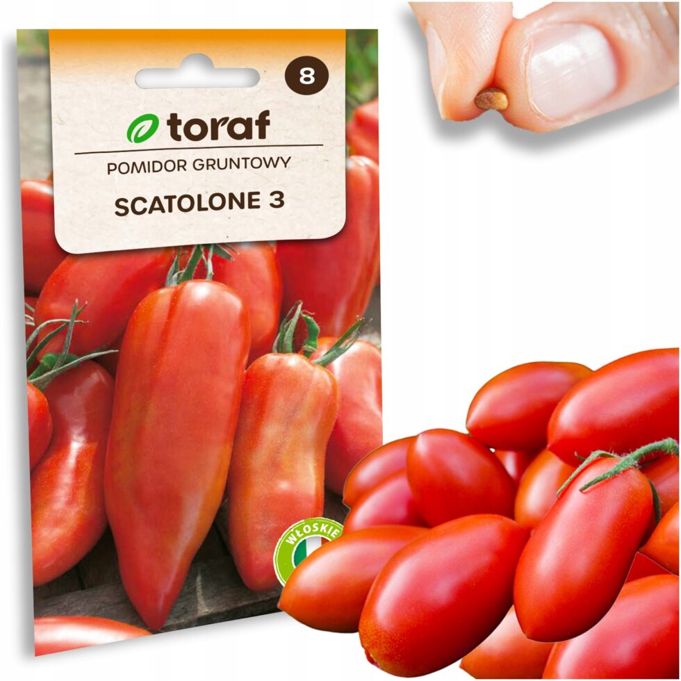 57aa010e37712f4b79c75fc25a532e41