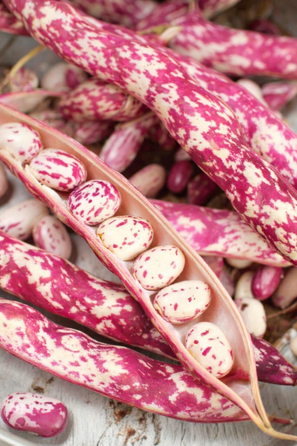 02e38373146defafb2611759b48b545c