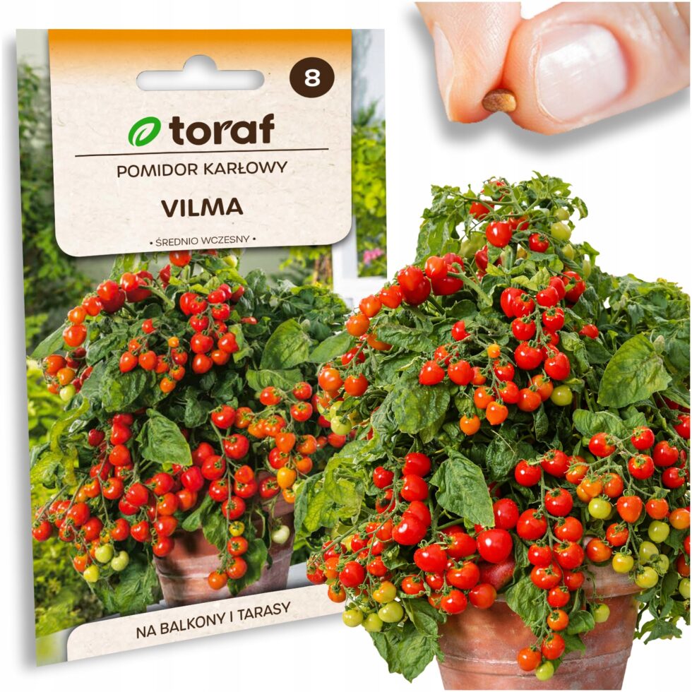 24c1cfaa1952f09ba92f7f455cebfdce