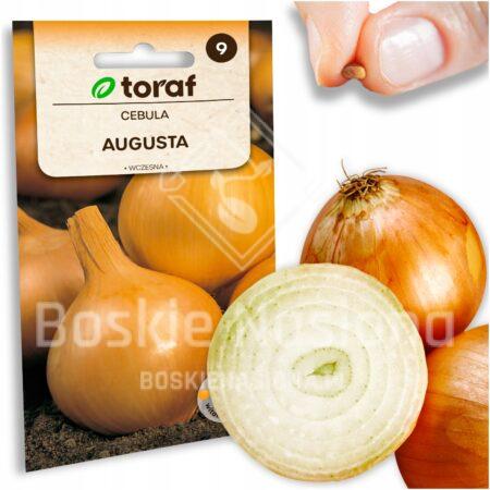 b4f881aba710ebf8325e1c0c2aff73b1