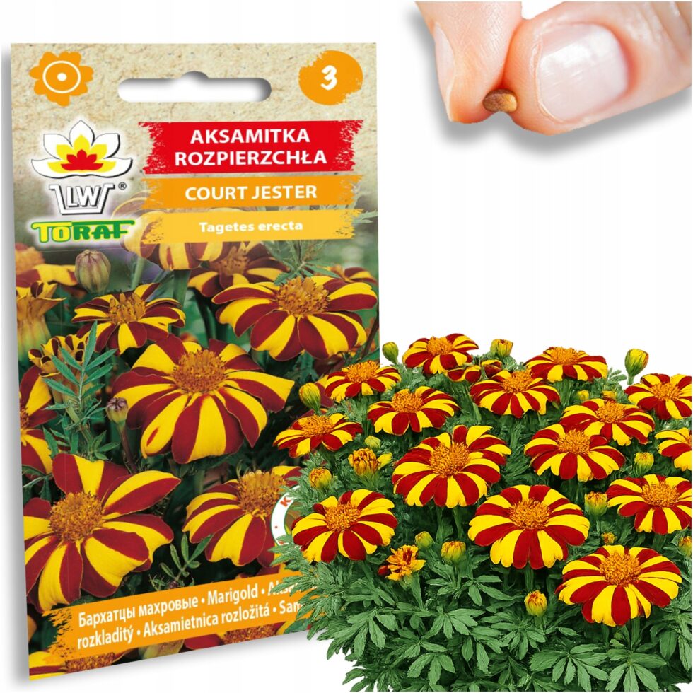 28f639563acae74409eefe2644361b7d