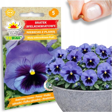 4be220cec17f01336c81887884b4f4a2