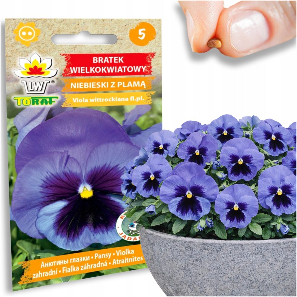 4be220cec17f01336c81887884b4f4a2