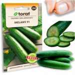 23d318e296826be5b8c4f1223a46bddf