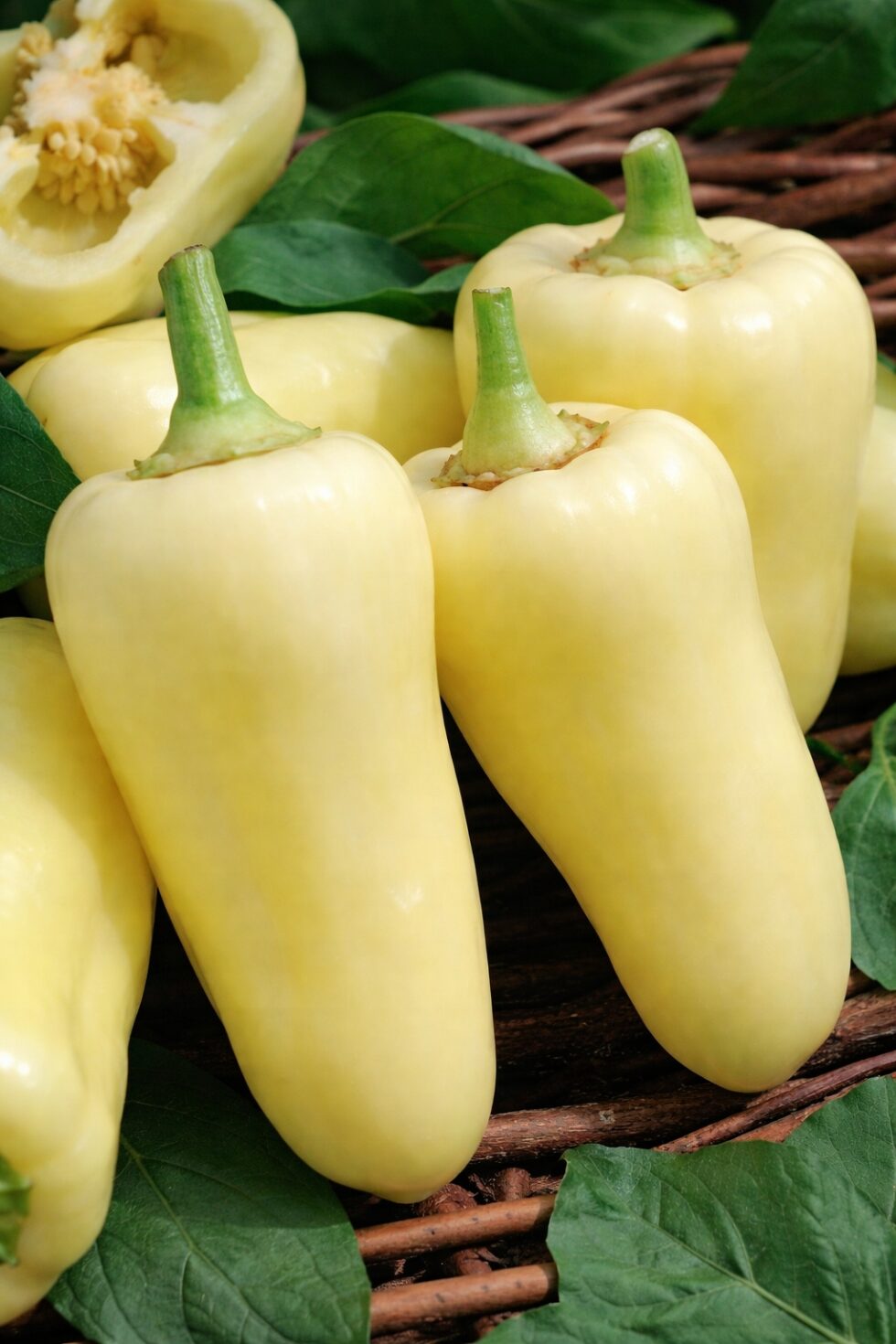 a39cd083d7812b830f8f322b112a49c0