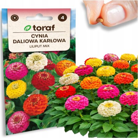 6cc7e1b2f9c82a22cd422c9efea47fb5