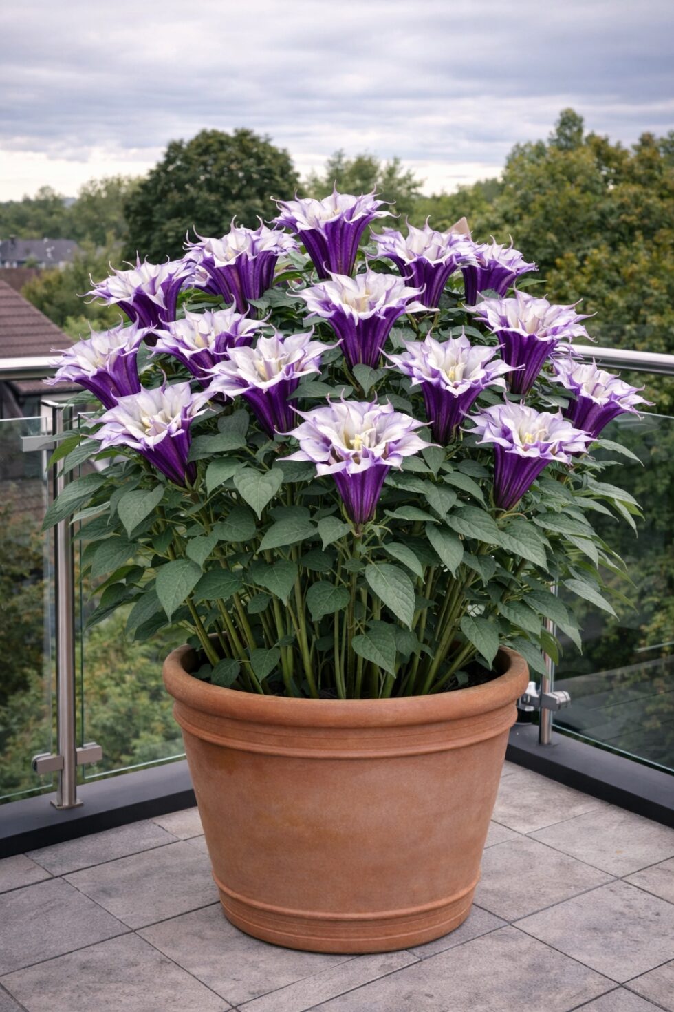 5c389b8985bf7389c5c067e7845729b4