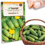 bb419d789a324e90125264d716101f91