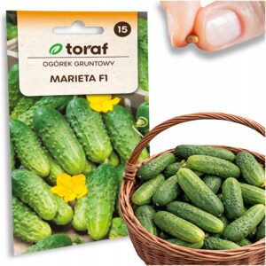 bb419d789a324e90125264d716101f91