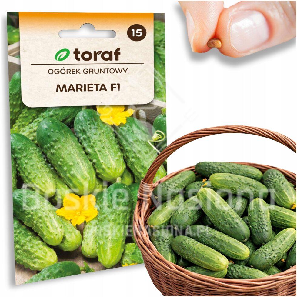 bb419d789a324e90125264d716101f91