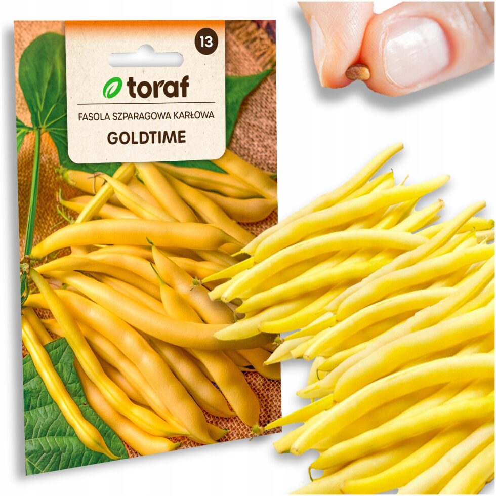 97f72c0c07ae1a88f984cf6729569f31