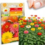 212c7bed178f9668c07bb3919f459d1f