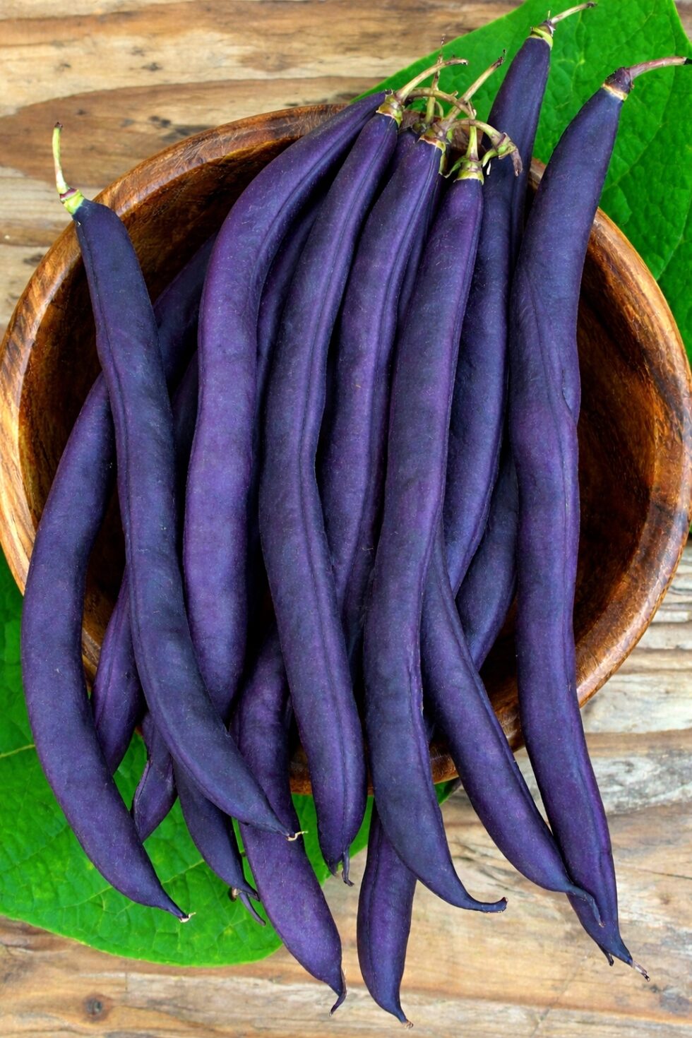 d8a5be5e69d89a57371b82eb4e4804e6