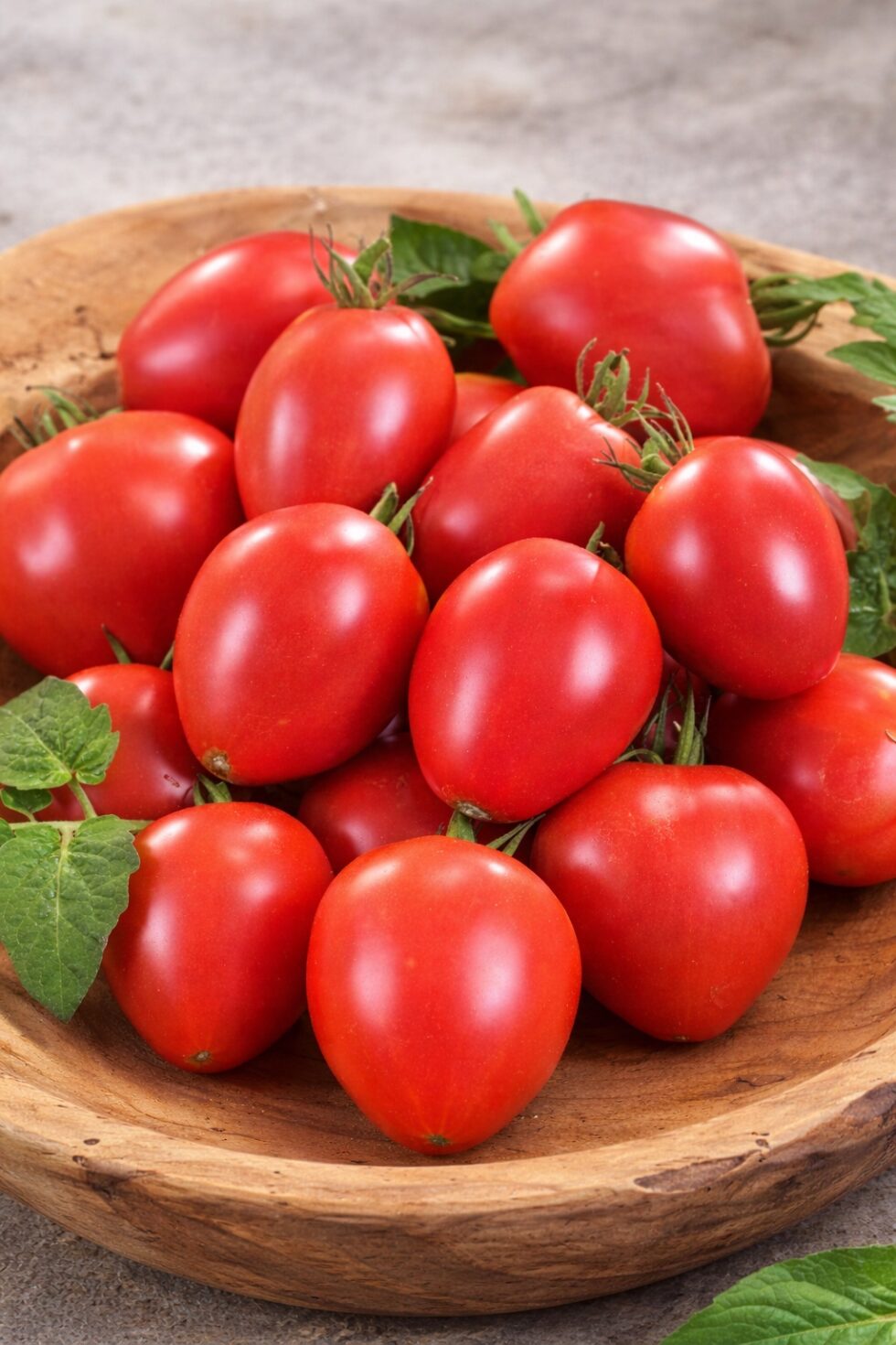 b06ec159ea4e4cabd61be6ed91d45e00