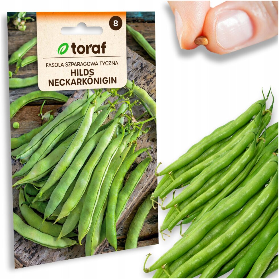 b6de6b8a5c1fc6147c3007d093475649