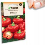 f5ed515c5626d62af34aea01055e82c2